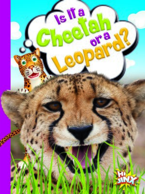 cover image of Is It a Cheetah or a Leopard?